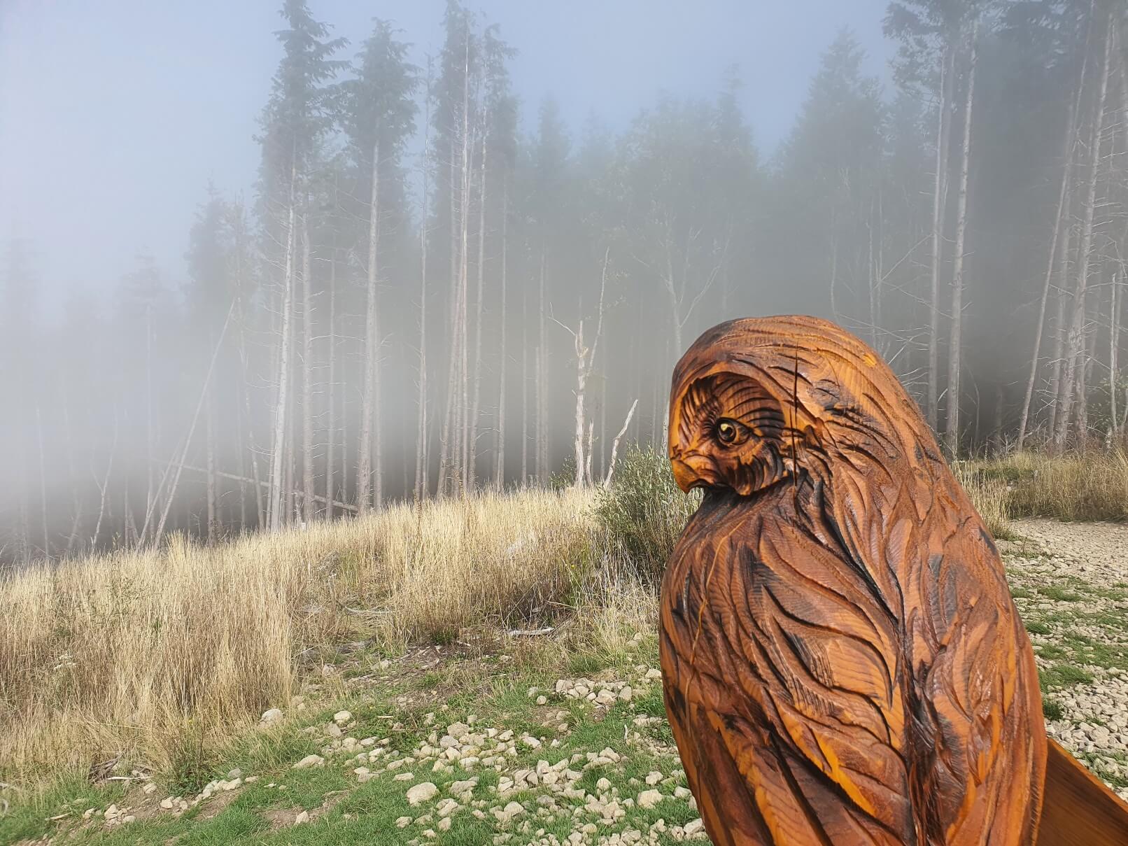 Fall in Seattle - Seattle Sober Living